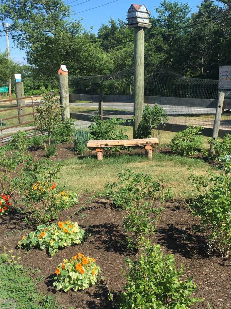 Atlantic helped design and install this memorial garden. Several groups teamed up and donated their time to create this wonderful edible, naturally inspired garden. 