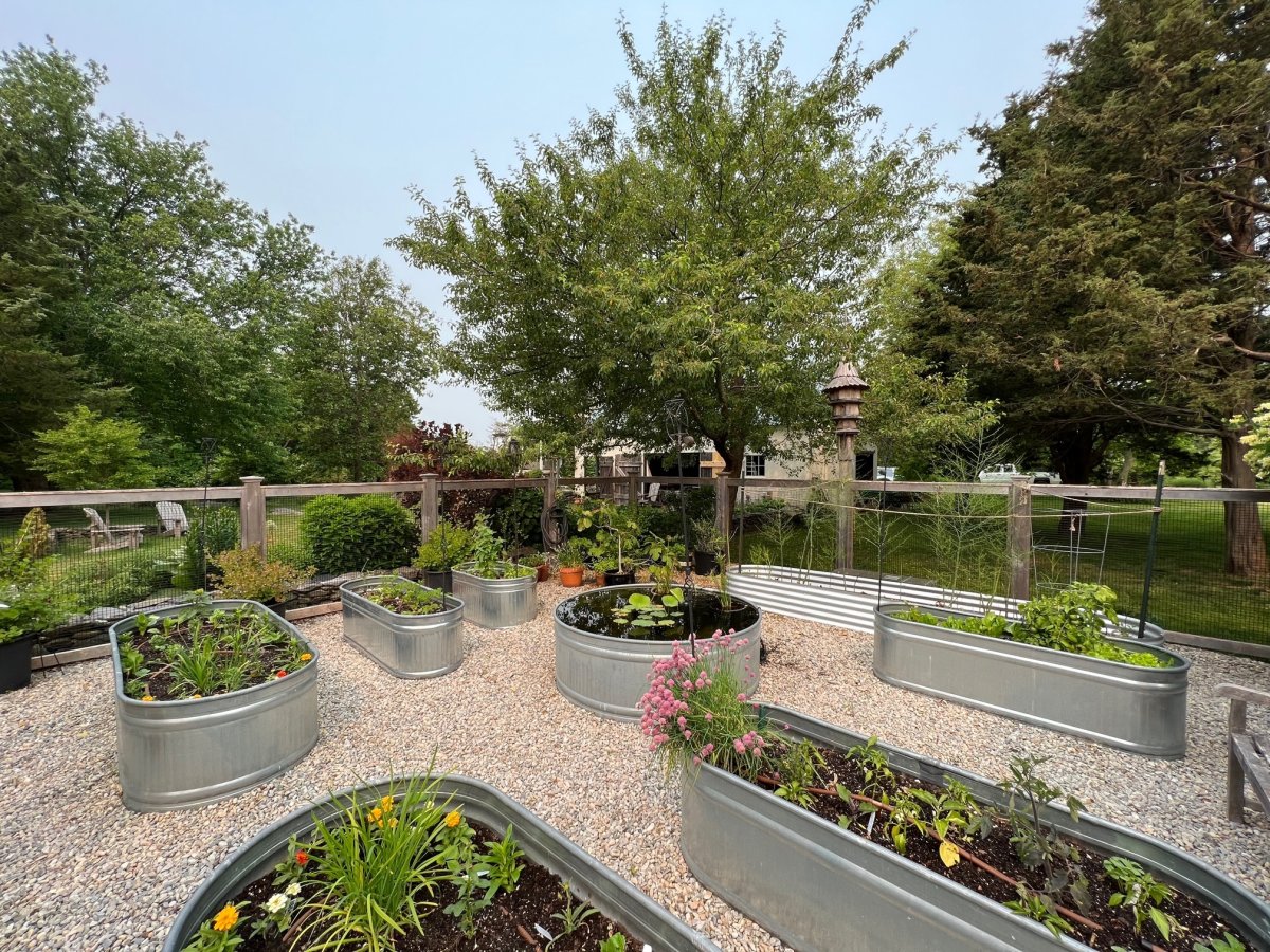 Galvanized cattle troughs make up these veggie beds.  A custom cedar fence helps keep out the deer and rabbits.